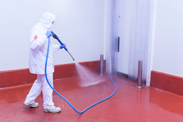 Best Rust Removal  in Rossmoor, CA